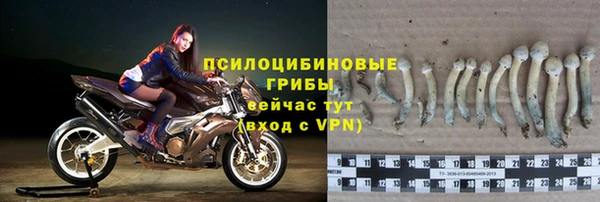 прущая мука Белоозёрский