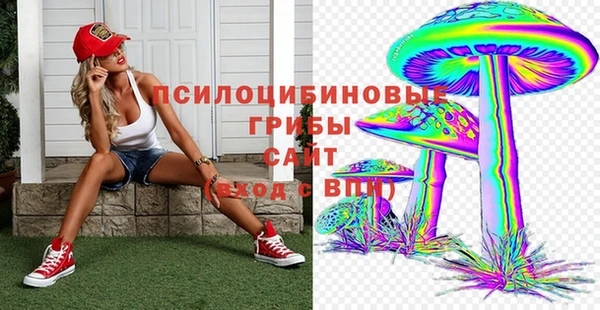 apvp Белокуриха