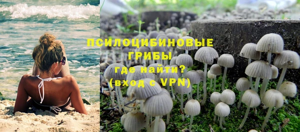 apvp Белокуриха