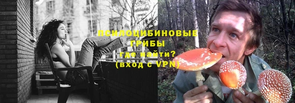 apvp Белокуриха
