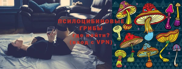 apvp Белокуриха