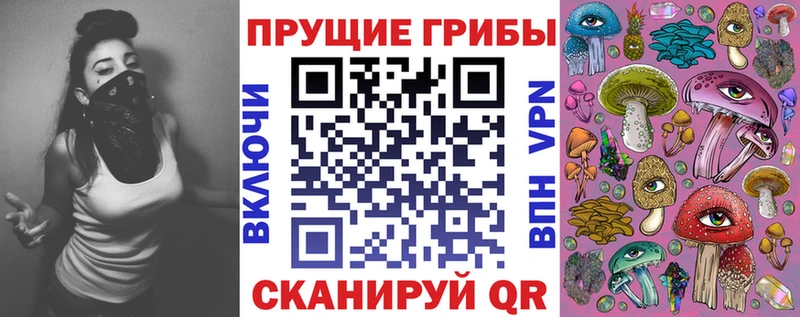 Псилоцибиновые грибы Psilocybine cubensis  Берёзовка 